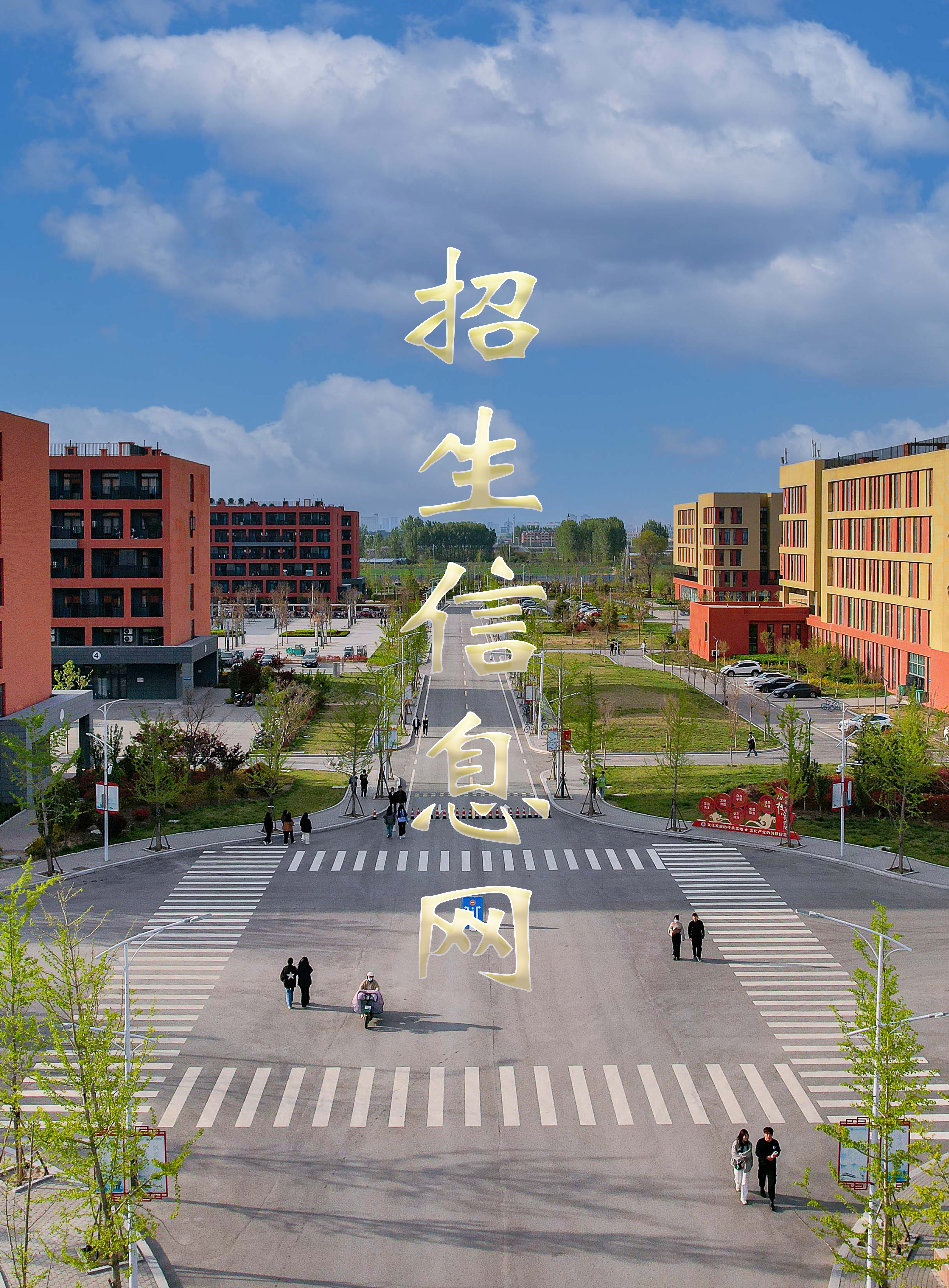 招生信息网